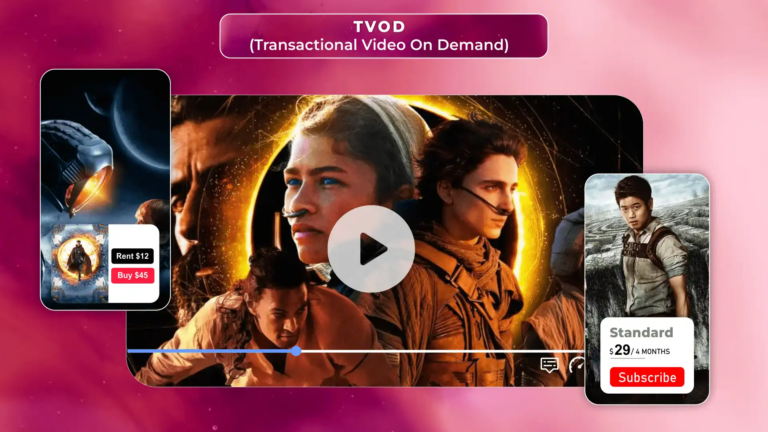 TVOD: A Streaming Service